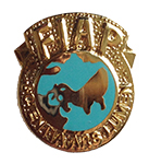 FIAP_Blue_Badge