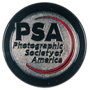 PSA Silver Medal